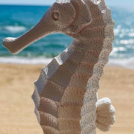 Caballito De Mar Tavernes de la Valldigna Eksteriør bilde
