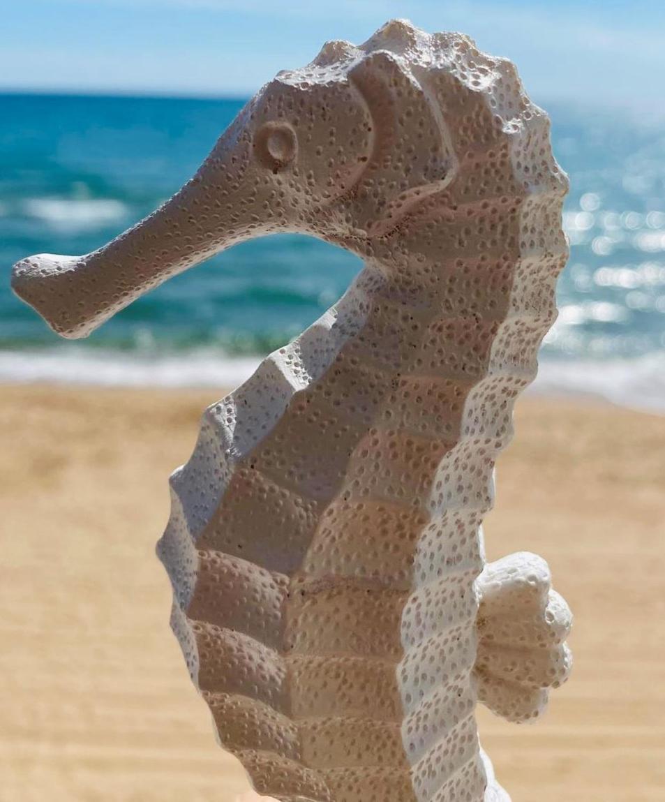 Caballito De Mar Tavernes de la Valldigna Eksteriør bilde